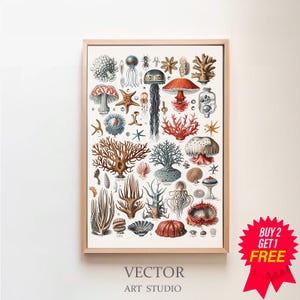 Afdrukbare vintage zeedierenkaart | Adolphe Millot-poster | Mariene biologie | Vintage kunst | Wetenschapskunst | Oceaanleven-poster | Zeedierenprints