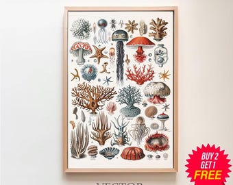 Printable Vintage Sealife Chart | Adolphe Millot Poster | Marine Biology | Vintage Art | Science Art | Ocean Life Poster | Sea Life Prints