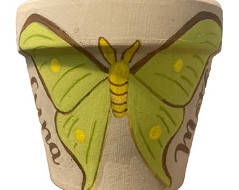 Hand Painted Luna Moth 3.5&quot; Terracotta Pot ~ Indoor Planter ~ Home Decor ~ Flower Pot ~ Plant Pot ~ Clay Pot ~ Gift Ideas