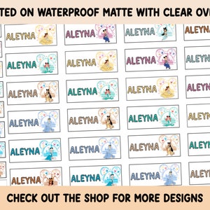 Princess Stickers Waterproof Clear overlay School supplies, Back to school labels, Name labels, Preschool labels, Customized Labels