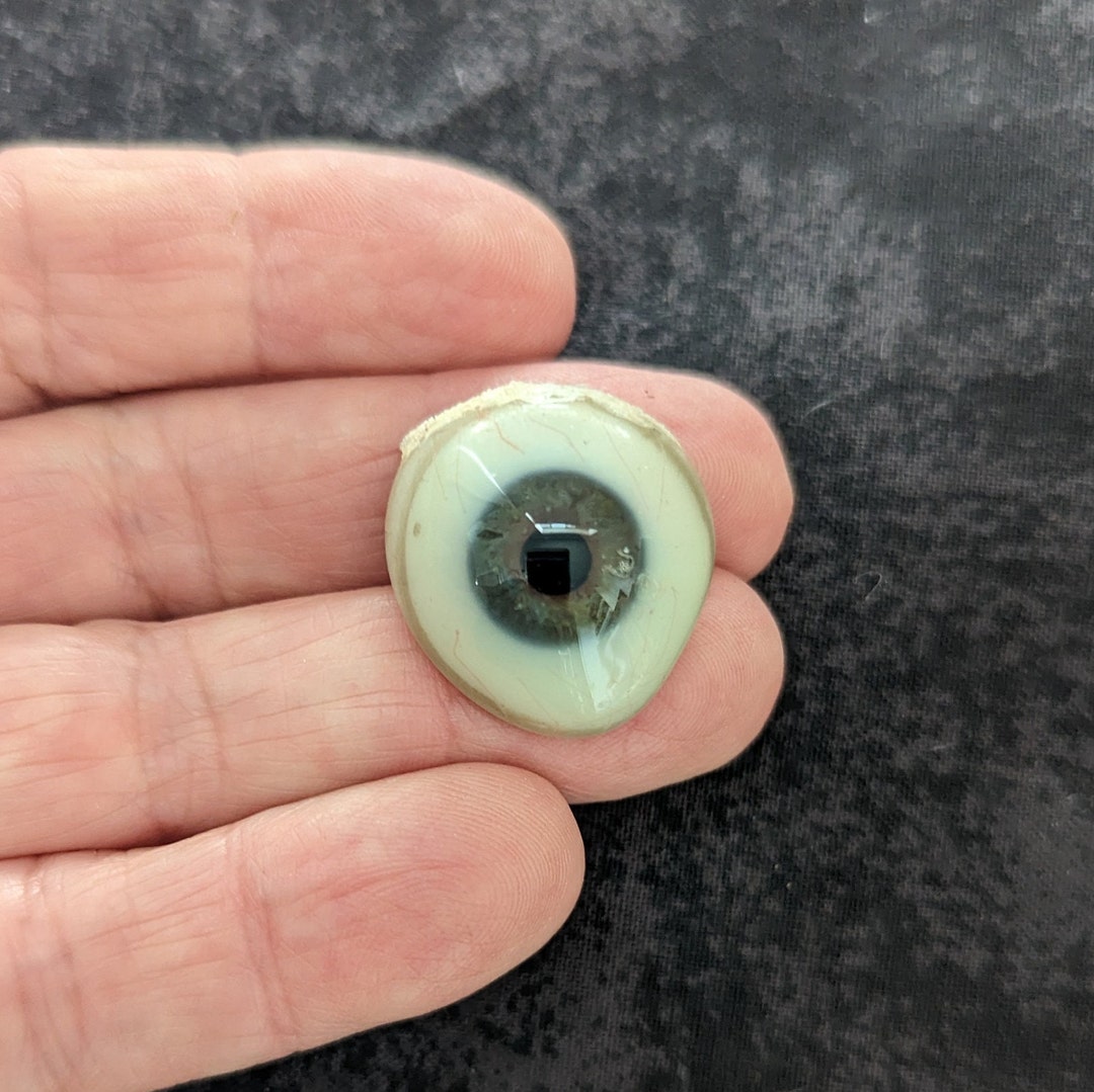 ANTIQUE GLASS EYE Human Prosthetic Ocular Oddity Inventory B Etsy