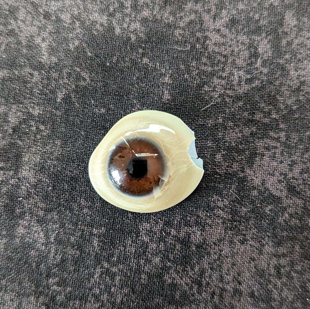 ANTIQUE GLASS EYE Human Prosthetic Eyeball Taxidermy Oddity Etsy