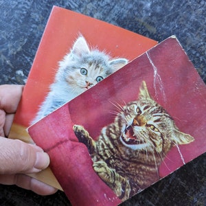 CARTES POSTALES VINTAGE CHAT, carte grinçante de chat en colère