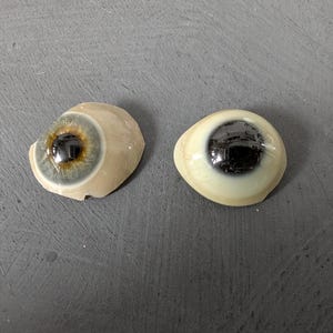 1pc ANTIQUE GLASS EYE 1890s Flawed Miniature Eyeball Tiny