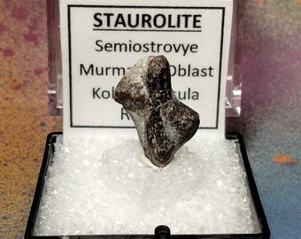 Sale STAUROLITE Fairy Cross Natural Crystal Cross or X in Perky Mineral Specimen Box from Russia