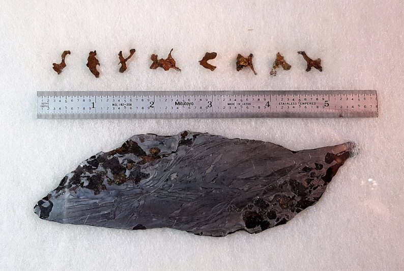 Importance of meteorites picture