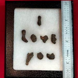 Rare Meteorite I LOVE YOU All Natural Agoudal Meteorite Writing Display with Matching Souvenir Card Gift Bild 3