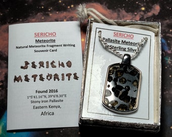 SERICHO Pallasite Meteorite Top Quality Slice Pendant On 20-inch Sterling Silver Chain and Sericho Meteorite Fragment Writing Card Last One