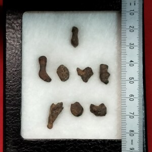 Rare Meteorite I LOVE YOU All Natural Agoudal Meteorite Writing Display with Matching Souvenir Card Gift Bild 5