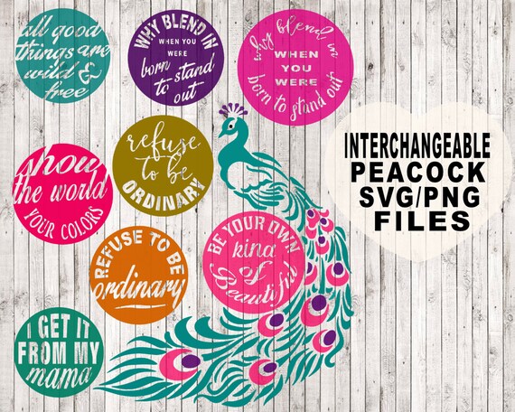 Download Interchangeable Peacock Svg Quote Svg Svg Files Cut Files Etsy