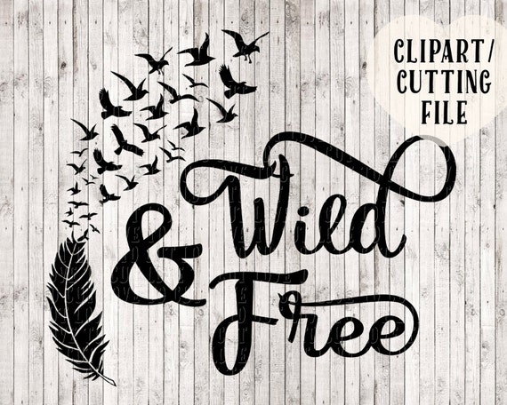 Download Wild And Free Svg Bird Svg Feather Svg Svg Designs Vinyl Etsy