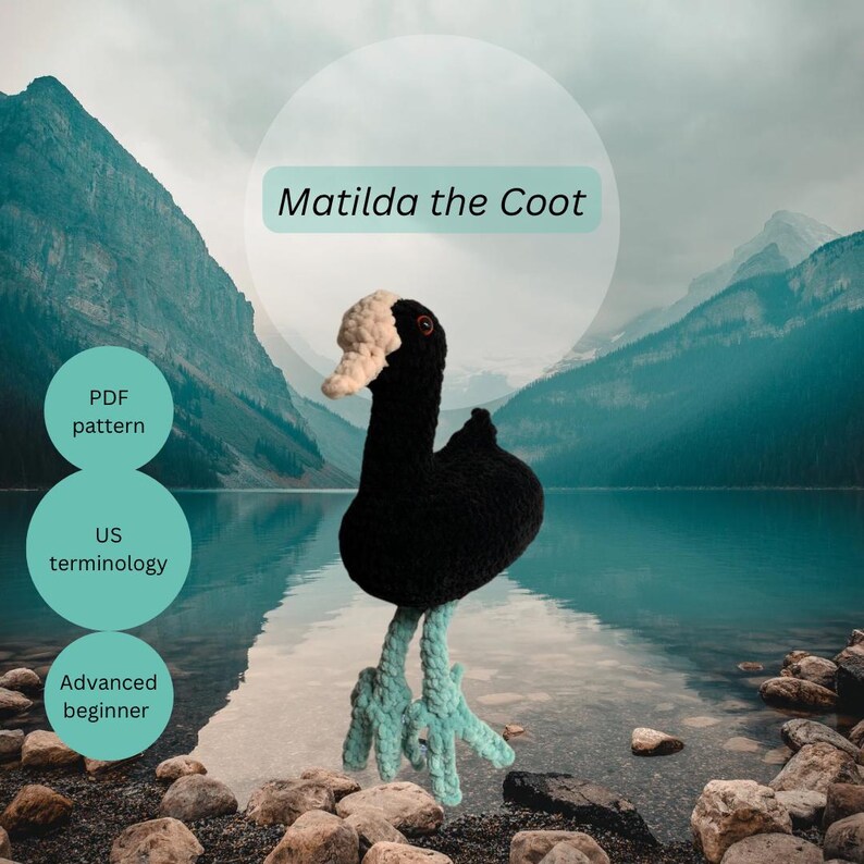 Matilda the Coot Crochet PDF Pattern - Etsy