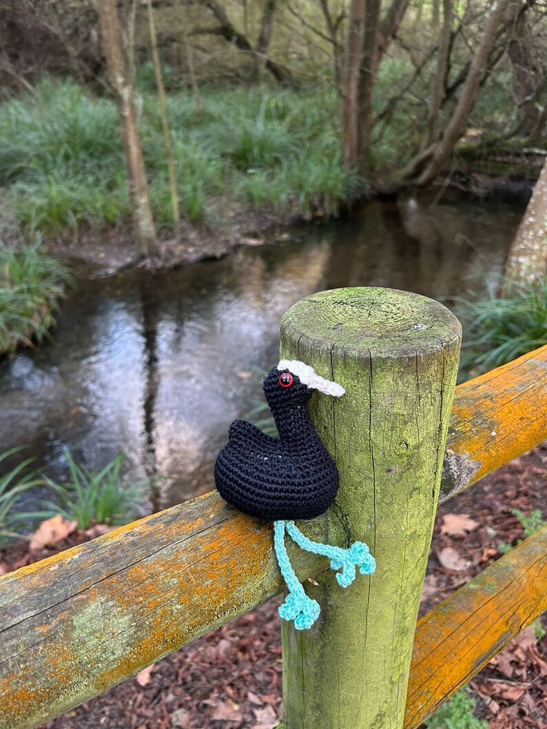 Matilda the Coot Crochet PDF Pattern - Etsy