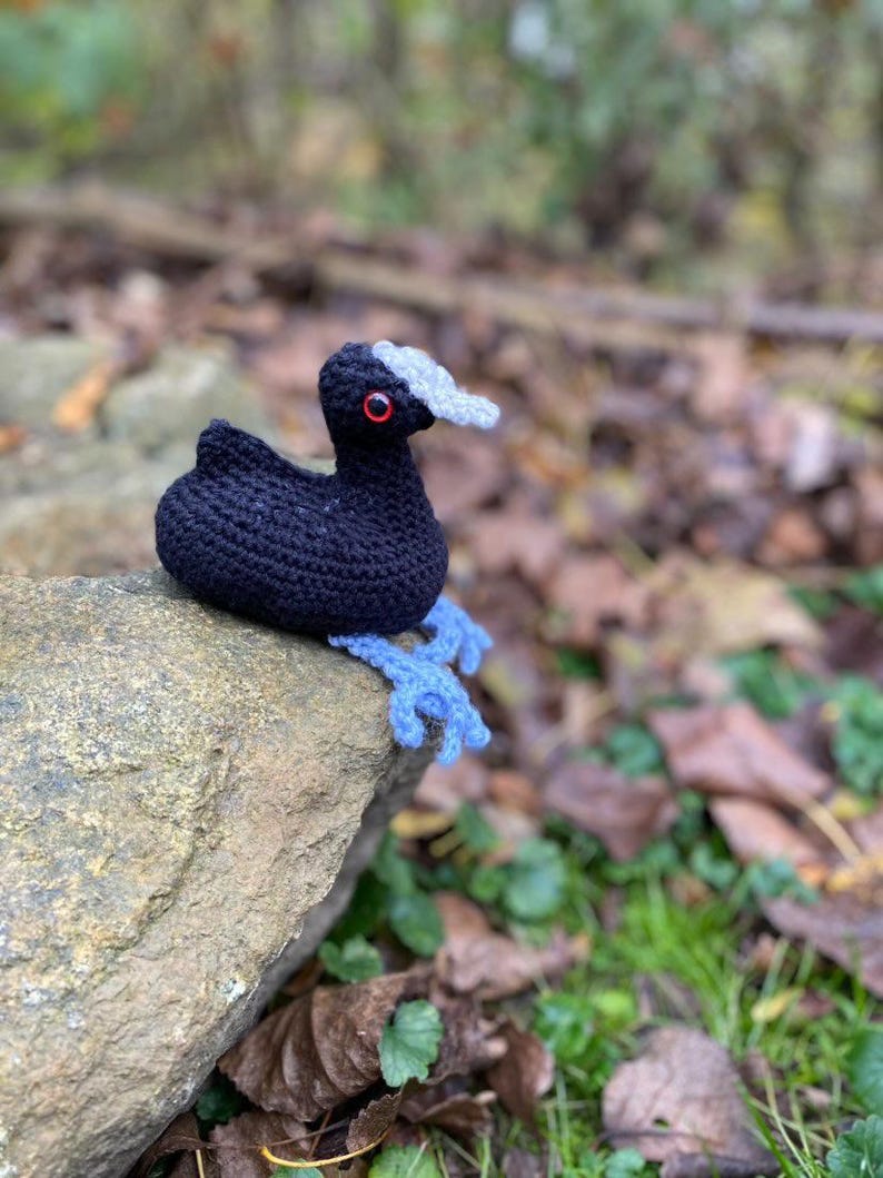 Matilda the Coot Crochet PDF Pattern - Etsy