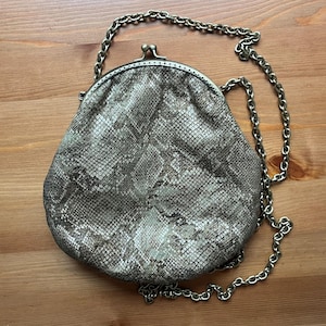 May include: A silver chain purse with a snakeskin pattern. The purse has a clasp closure and a long chain strap.