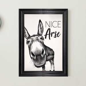 Nice Ass, Donkey in Bathroom Framed Wall Art | Humorous Animal Art | Funny Bathroom Decor | Quirky Donkey Print