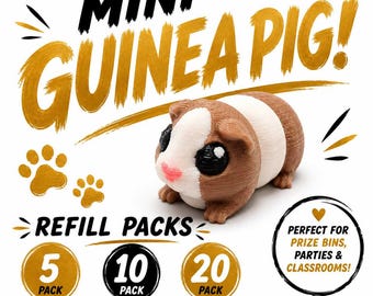 Pack de repuesto de mini cobayas – Juguetes para cajas de premios impresos en 3D – Elige 5, 10 o 20 – Recompensas para el aula, recuerdos de fiesta, rellenos para cajas de tesoros