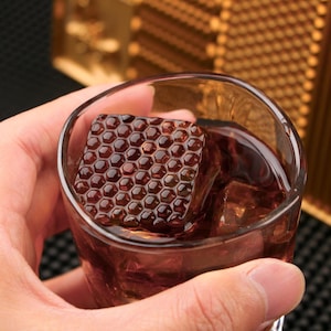 Piatto per cubetti di ghiaccio personalizzato, regalo per bar, vassoio per cubetti di ghiaccio personalizzato, timbro per ghiaccio personalizzato, timbro per marchio sul ghiaccio, piatto per cubetti di ghiaccio personalizzato, timbro per bar