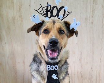 May include: A dog wearing a black glittery tie with white ghost cutouts and the word BOO in white letters, paired with a matching headband featuring black glittery spiderwebs, the word BOO in black glitter, and several small white ghost cutouts.