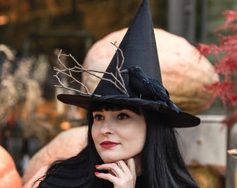 May include: A black pointed witch hat featuring a decorative arrangement of thin, bare brown twigs and a realistic black crow figurine perched on the side of the crown. The hat has a wide, flat brim and a tall, conical top made of smooth fabric.