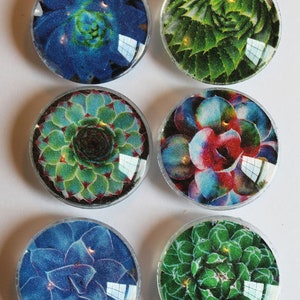 Abstract Glass Gem Super Strong Magnets Set of 6