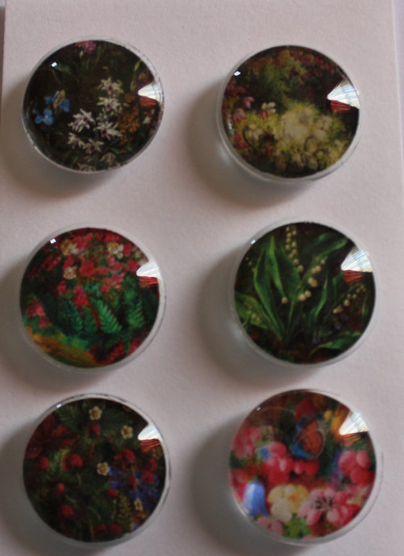 Wildflowers Glass Gem Super Strong Magnets Set of 6 image 1