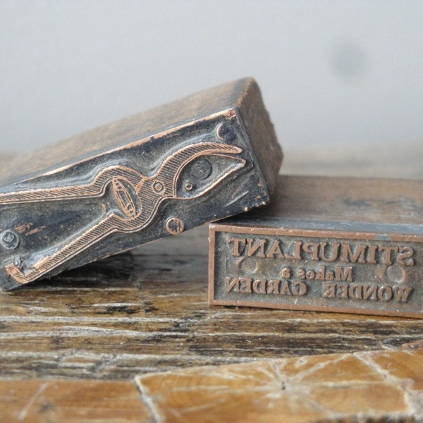 Pair of Vintage Printers Blocks