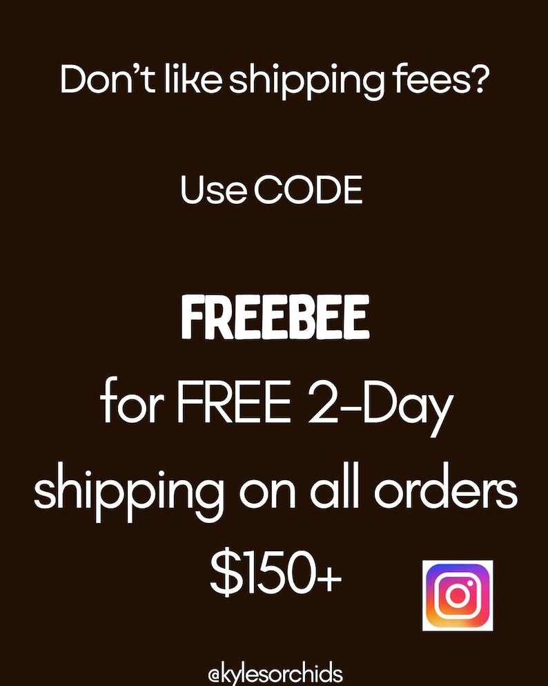 May include: A brown background with white text promoting free 2-day shipping on orders over $150. The text reads "Don't like shipping fees? Use CODE FREEBEE for FREE 2-Day shipping on all orders $150+". An Instagram logo is in the bottom right.