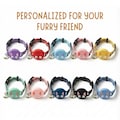 AirTag Cat Collar: Waterproof Silicone, Adjustable Safety Neckband product logo