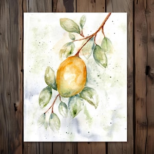 8x10 Lemon Watercolor Print – Botanical Fruit Art – Kitchen or Gallery Wall Decor