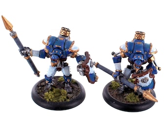 Pair of Talon Mercenary Light Warjacks