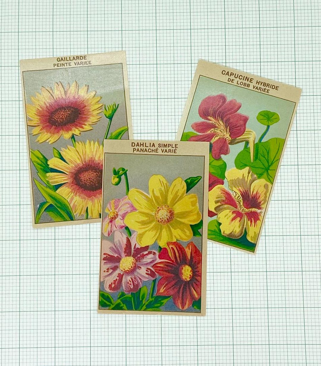 Vintage French Flower Seed Packet Labels: 1920s Lithographs. - Etsy UK