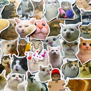 Pack Of 50 Meme Cat Stickers, Memes Sticker Pack, Waterproof Sticker Bundle, Die Cut Stickers, Cat Meme Sticker Pack, Meme Sticker Pack