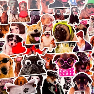 Pack Of 50 Meme Animal Stickers, Memes Sticker Pack, Waterproof Sticker Bundle, Die Cut Sticker, Animal Meme Sticker Pack, Meme Sticker Pack