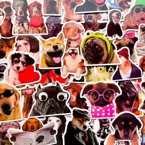 Pack Of 50 Meme Dog Stickers, Memes Sticker Pack, Waterproof Sticker Bundle, Die Cut Stickers, Dog Meme Sticker Pack, Meme Sticker Pack