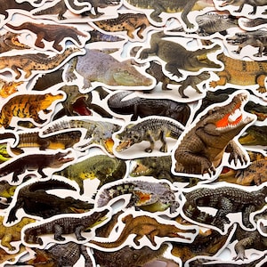 Paquete de 50 pegatinas de cocodrilo, paquete de pegatinas de animales, paquete de pegatinas impermeables, pegatinas troqueladas, paquete de pegatinas de cocodrilo, pegatinas de cocodrilo