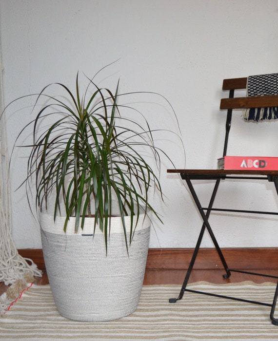 Planter basket, Indoor planter, Simple decor basket, , Rope coil basketry, Gifts for the home, Pot basket, Coastal basket