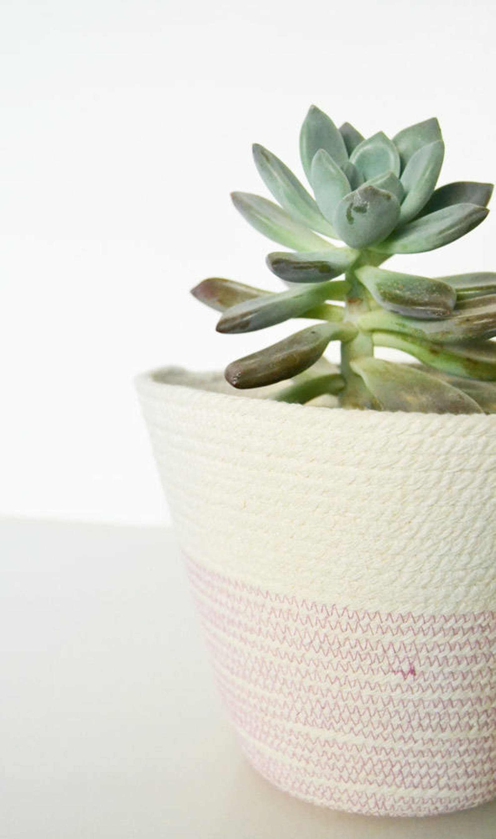 Rope Plant Pot Great as a Succulent Planter Centrepiece for Etsy
