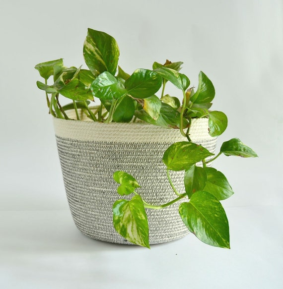 Cotton rope pot, Indoor planter, Simple decor basket, Planter basket, Rope coil basketry, Gifts for the home, Pot basket, Coastal basket