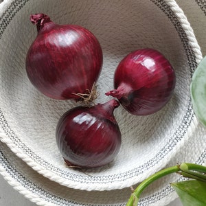 May include: Three red onions in a white woven bowl with a black trim. The bowl is sitting on a white surface.