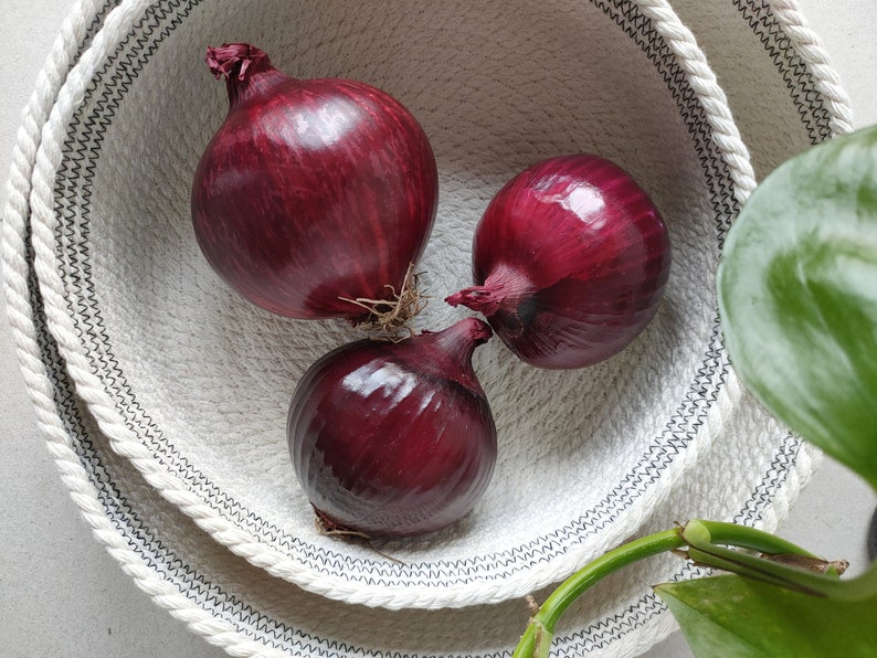 May include: Three red onions in a white woven bowl with a black trim. The bowl is sitting on a white surface.