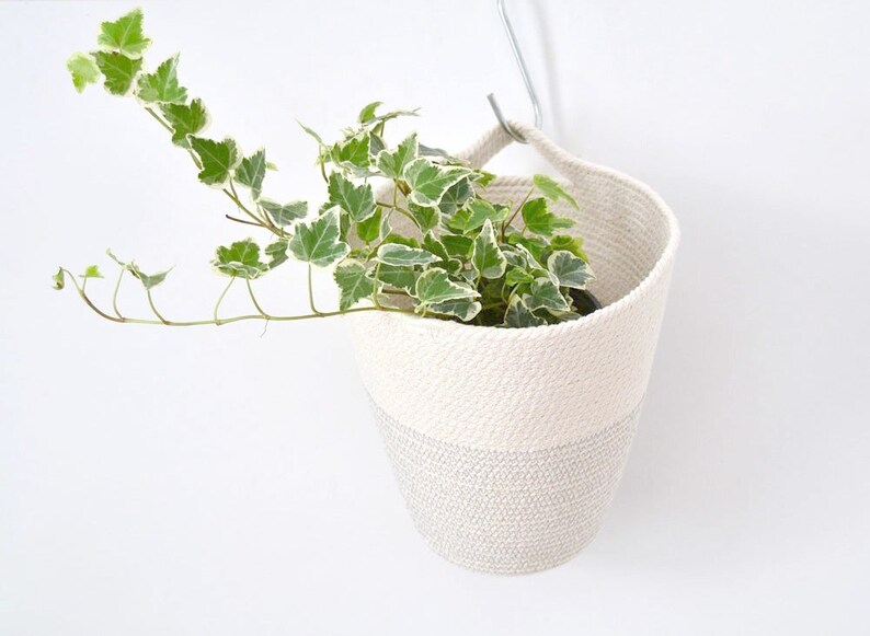 Hanging Cotton Rope Basket for Displaying Your Plants With a