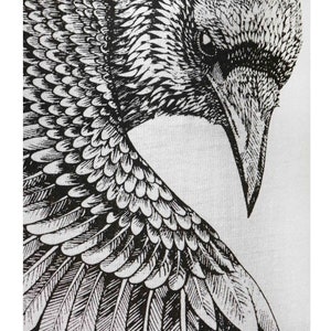 Puede incluir: Ilustraci&oacute;n en blanco y negro de un cuervo con las alas extendidas. La cabeza del cuervo est&aacute; girada hacia un lado y su ojo es visible.