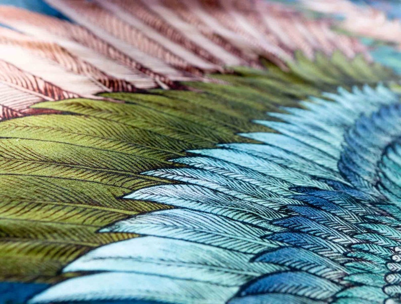 Puede incluir: Primer plano de una tela con una ilustraci&oacute;n detallada de un ala de p&aacute;jaro. El ala presenta un degradado de colores, incluyendo tonos de verde, azul y marr&oacute;n, con intrincados patrones de plumas. El dise&ntilde;o tiene un aspecto vintage y art&iacute;stico.