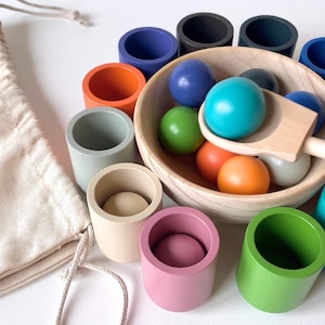 Montessori Color Toy Learning Material Sorting Game for Preschool Activity Set Natural Wood Rainbow Stacker Learning Tool Motor Development