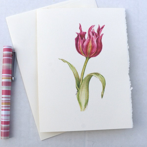 Tulips note cards, assorted blank cards Tulips, Tulip Notecards, stationery, Set of 6