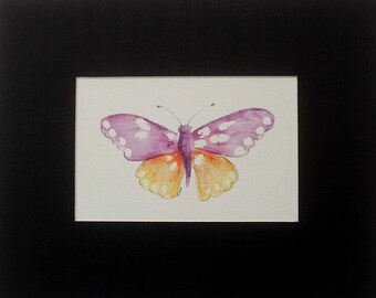 Watercolor Butterfly Print, hand painted, watercolor butterfly, Matted Print, Wall Decor, Spring Butterflies