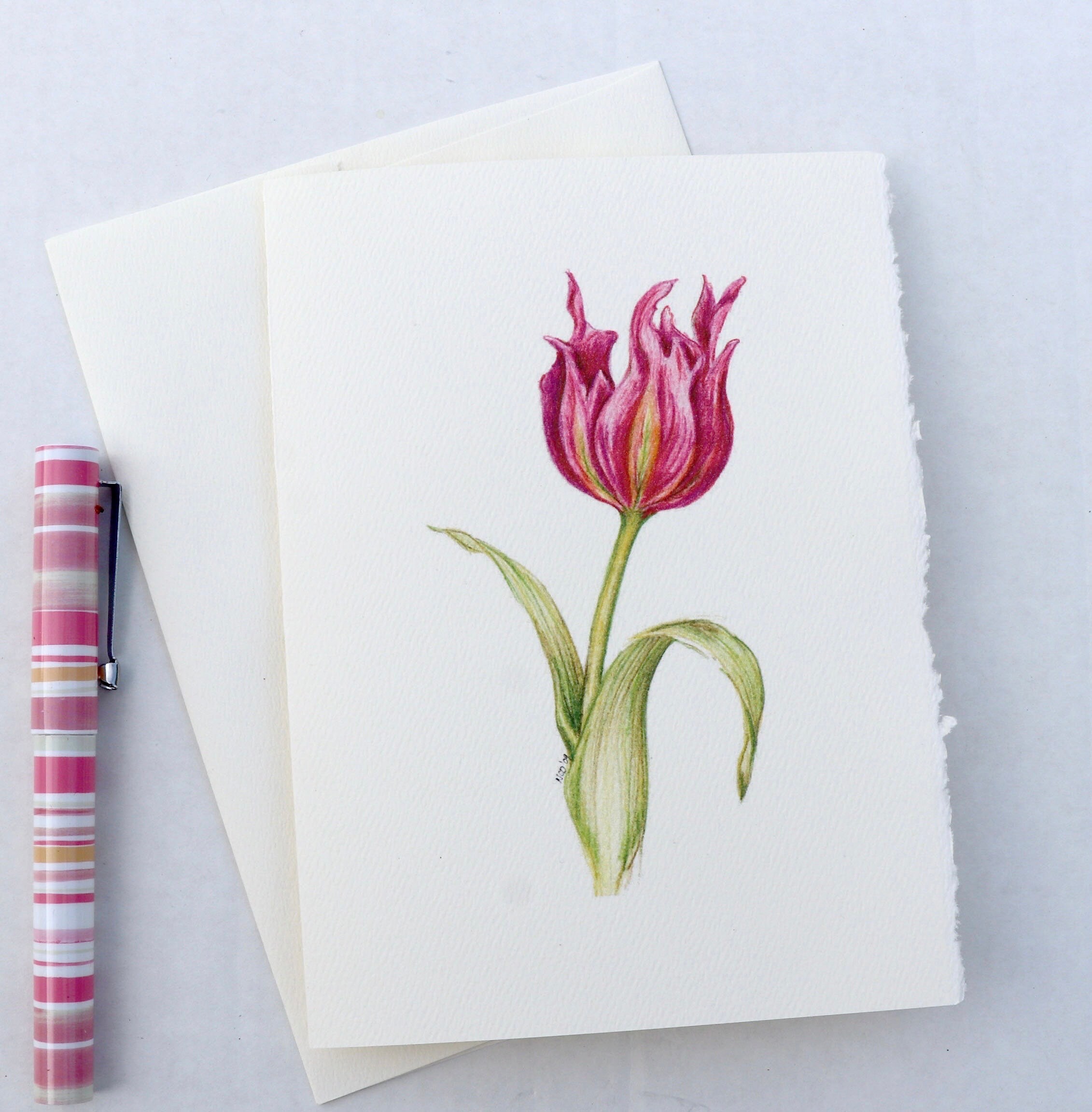 Tulips Note Tulips Note Cards, Floral Stationery Set, Strathmore Paper (set of 6 ...