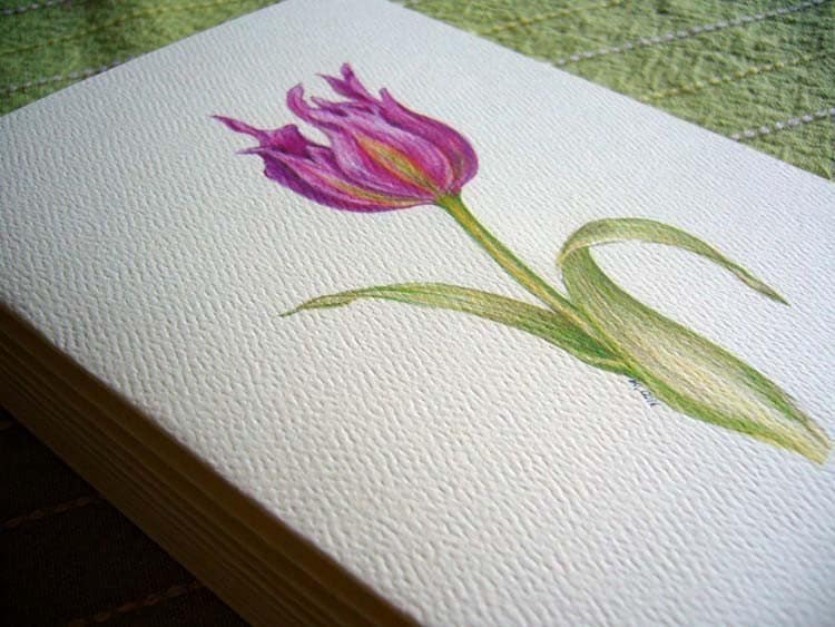 Tulips Note Tulips Note Cards, Floral Stationery Set, Strathmore Paper (set of 6 ...