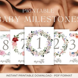 Cartes d'étape de bébé, étapes de bébé, premières de bébé, cartes de mois de bébé, cartes de bébé de première année, accessoires de photo de bébé, cadeau de baby shower